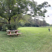 IMG-0412