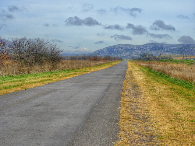 DSCN4897.jpg