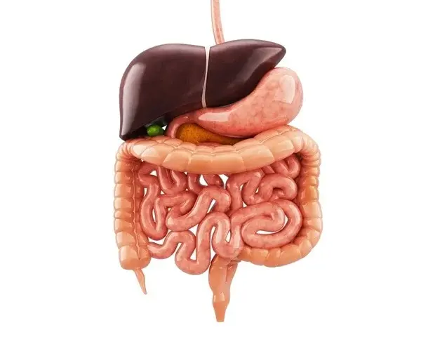 New Genetic Driver for Rare Small Intestinal Cancers