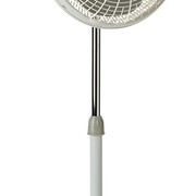 3169