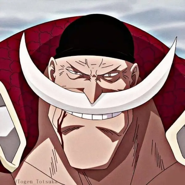 BarbaBlanca de One Piece