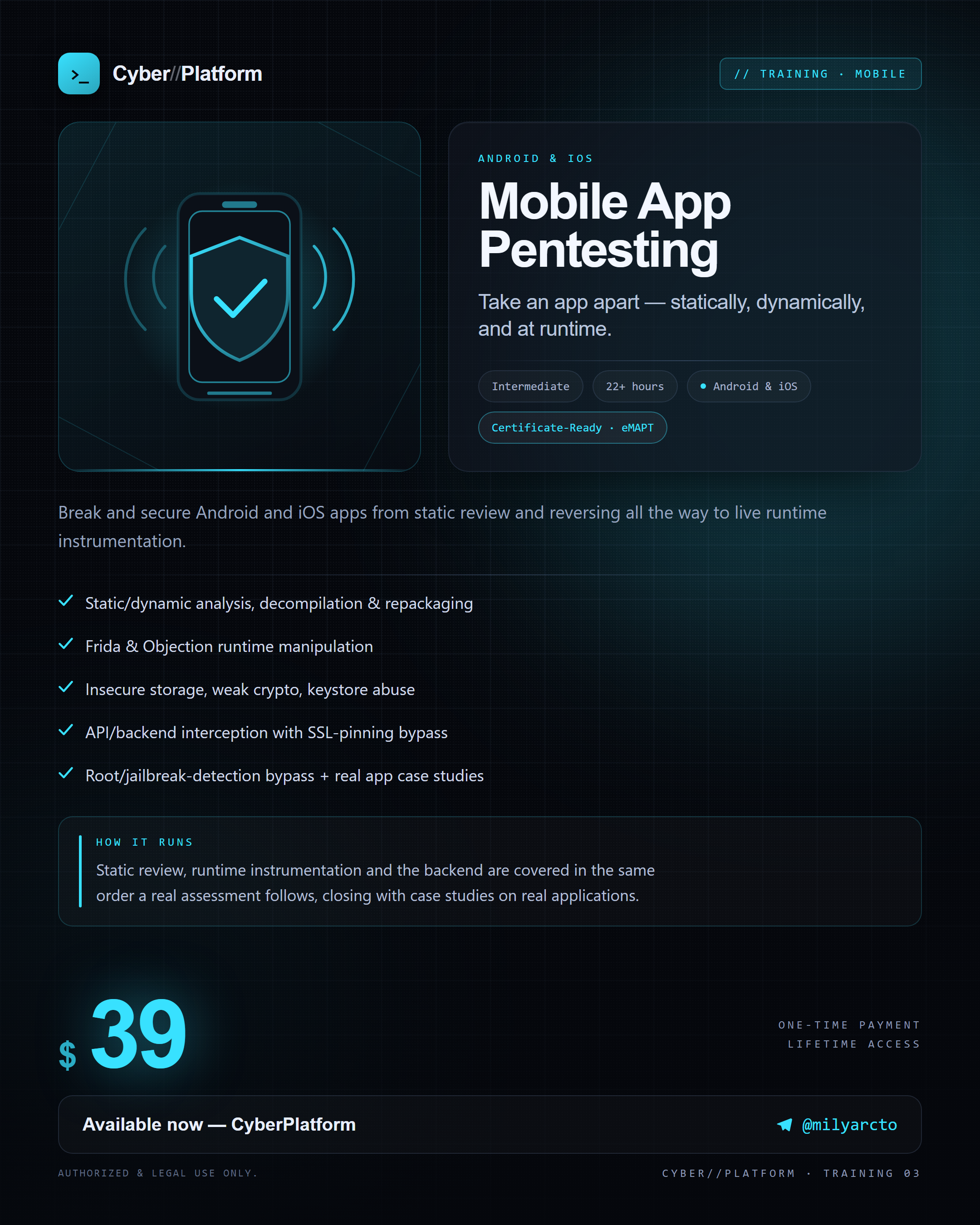 [Image: 03-mobile-application-pentesting-training.png]