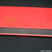 IMG-3304