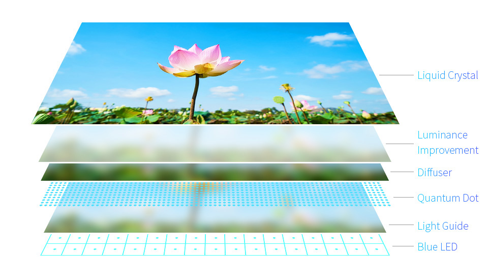 QLED1