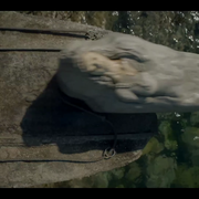 38-coffin