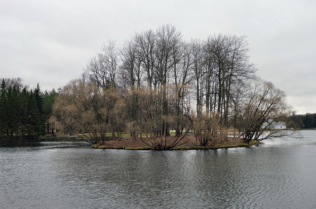 DSCF2067.jpg