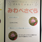 IMG-7760-HEIC-compressed