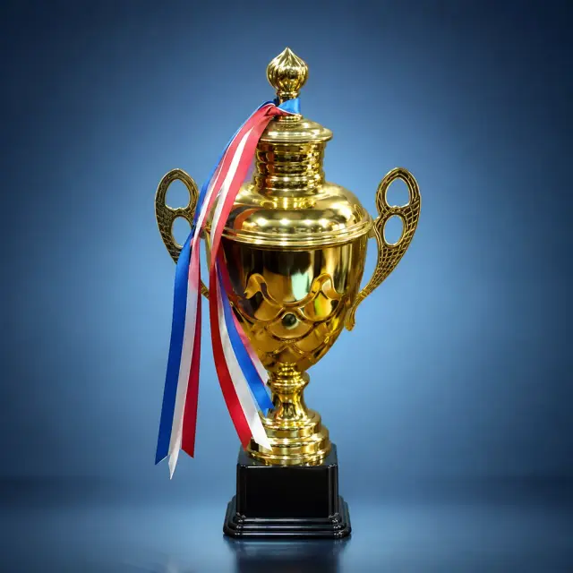 China Award Trophy For Winners