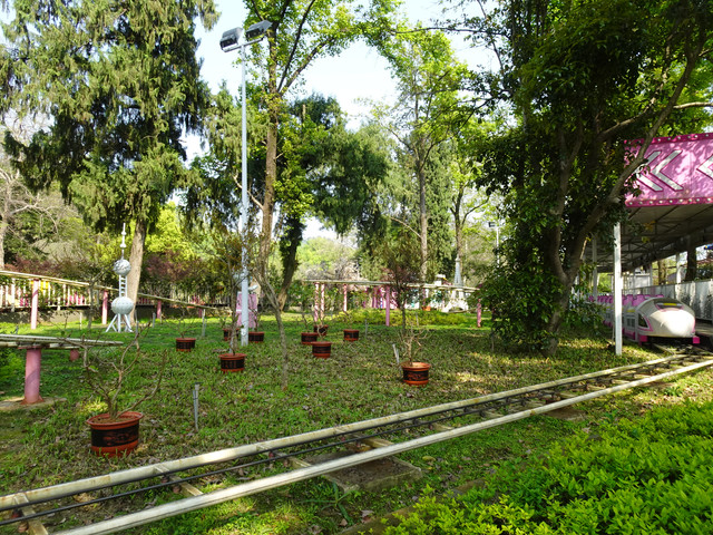 DSC09162.jpg