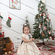 IMG 4129