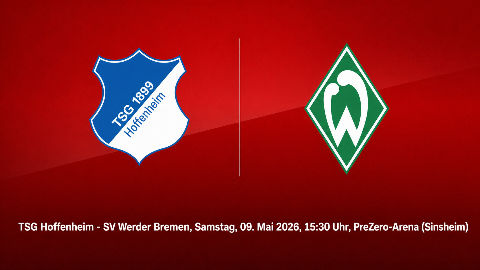 Hoffenheim.png