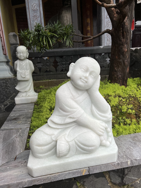 IMG-6517