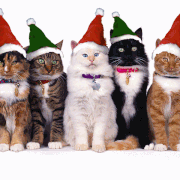 chats