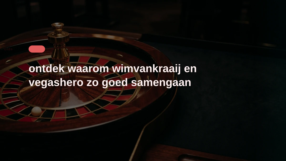 ontdek waarom wimvankraaij en vegashero zo goed samengaan