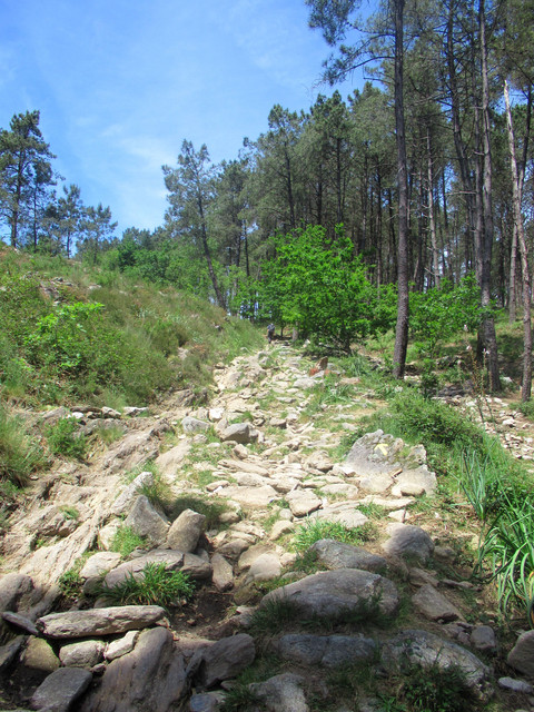 IMG-2799