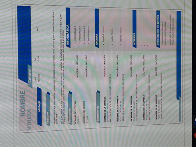 Plantilla-curriculum