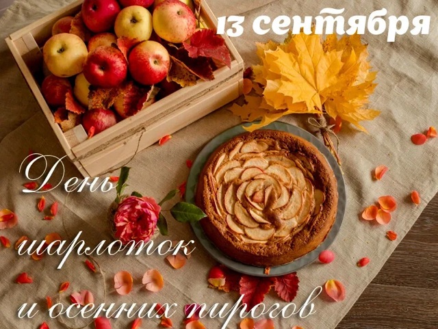 https://i.ibb.co/Z6nDfJLF/IMG-1811.jpg