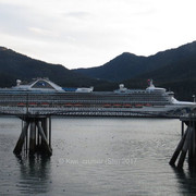 IMG-1715