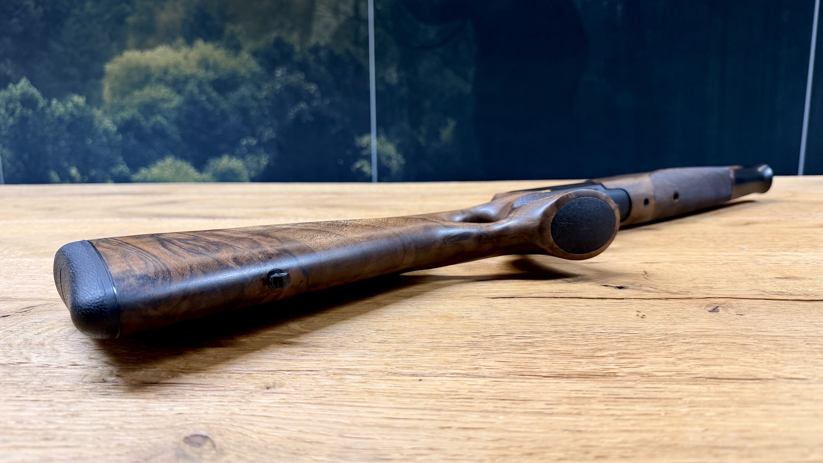Blaser R8 Success - Ansicht 7
