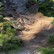 IMG-3056