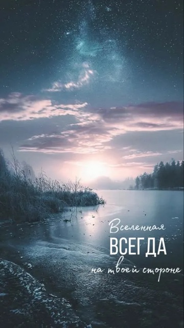 https://i.ibb.co/Z6rrDPC9/IMG-0849.jpg