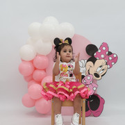 IMG 4490