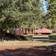 IMG 3252