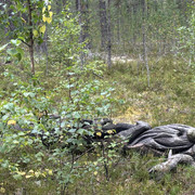 IMG 5692