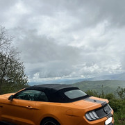 IMG-7019