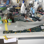 IMG 7384