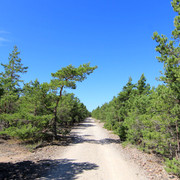 IMG-1500