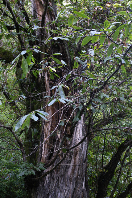 DSC7092.jpg