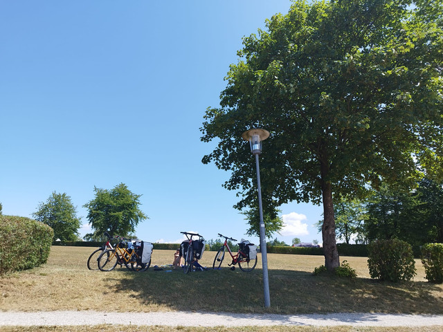DIA 6. Sankt Pantaleon a Grein. Jueves 6 de julio - Ruta en bici del Danubio- julio 2023 (15)