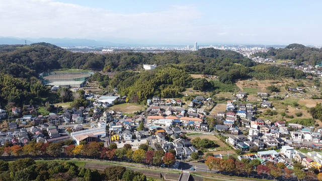 100.jpg