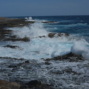 DSCF8201