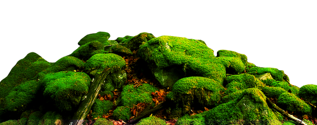 gl66x7d