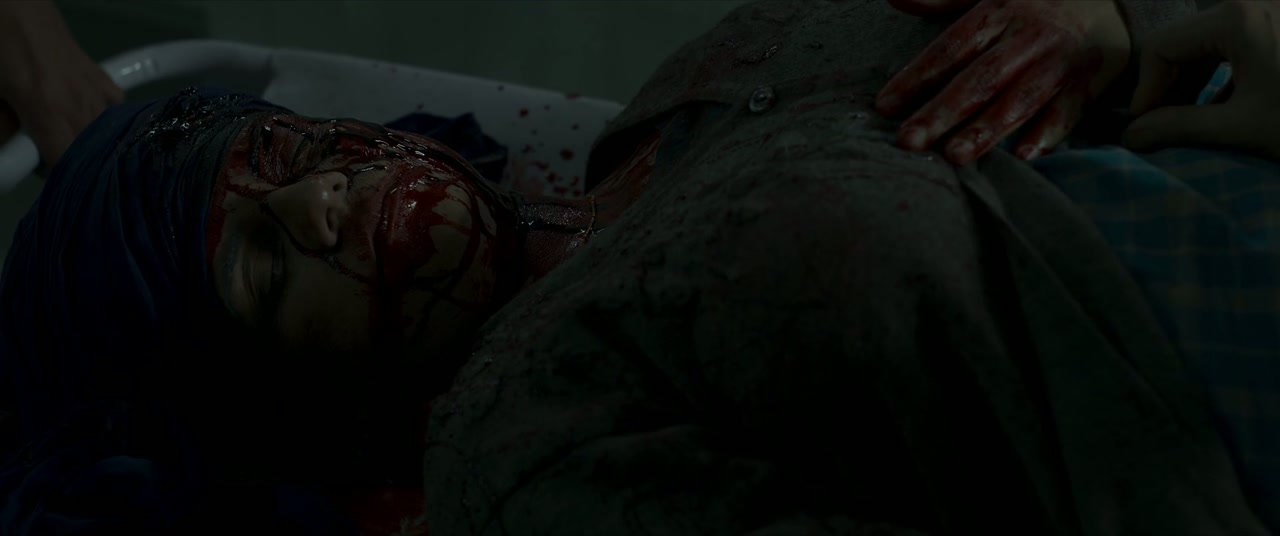 Satluj Screenshot