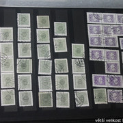 IMG-3575