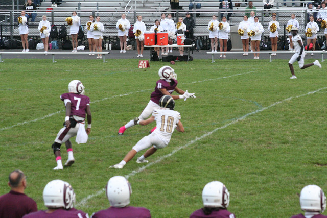 IMG-8380.jpg