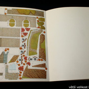 IMG-4479