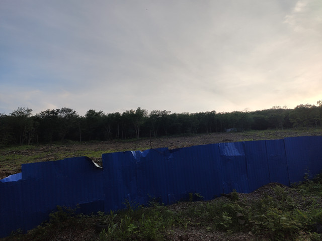 IMG-20240626-201136