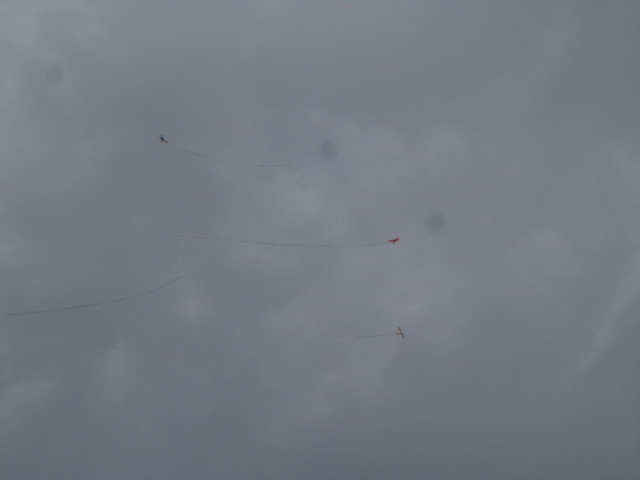 DSC02817.jpg