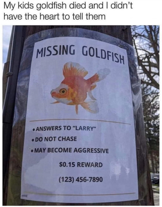 difish.jpg