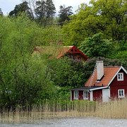sveden-svedska