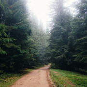 IPB Image
