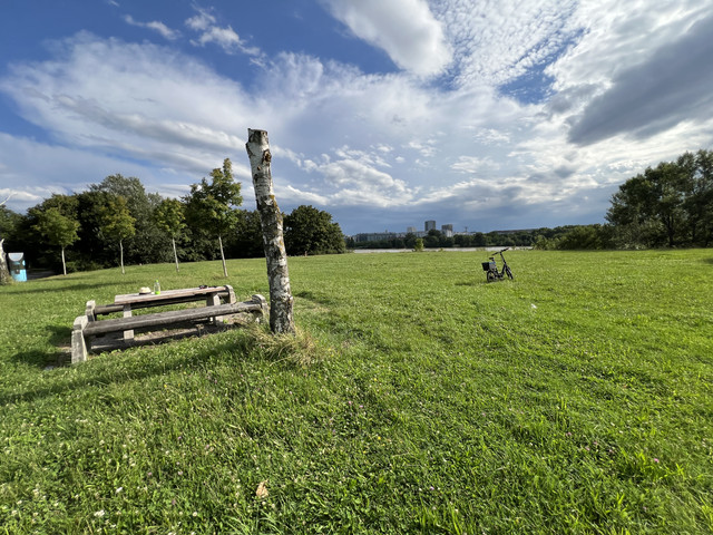 IMG-8711.jpg