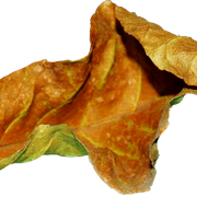 Leaf1