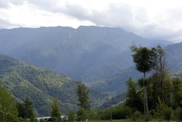 DSC7154.jpg