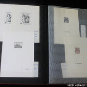 IMG-2361