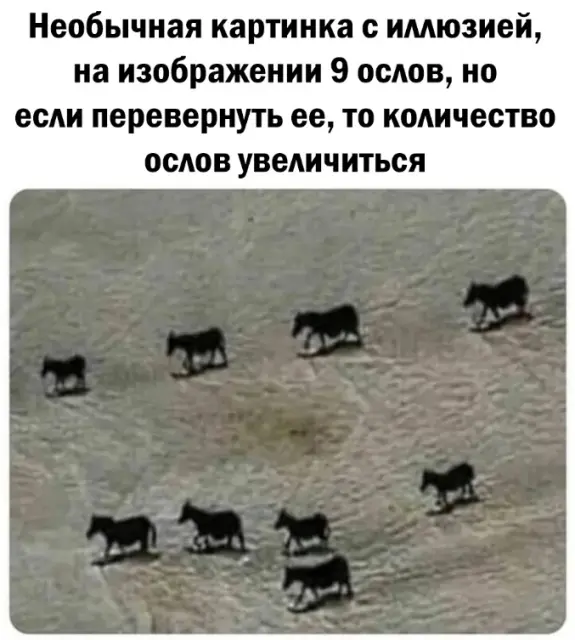 IMG-cf00f2fe97c3559b51d1fafc4c7d26d4-V